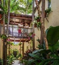 Orchid House Hotel