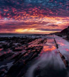 Pacific Coast Gallery