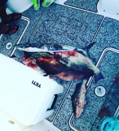 Reel Revenge Fishing Charters