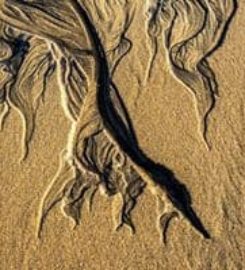 Pacific Coast Gallery