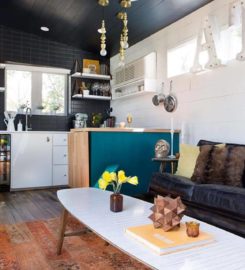 Platinum Properties