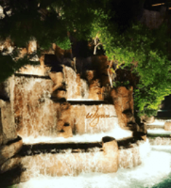 Le Reve – The Dream