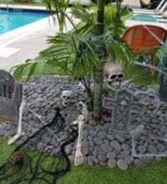 Vagabond Motel