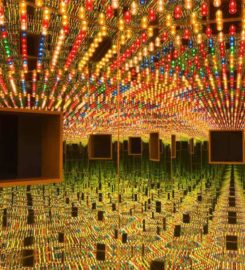 The Broad