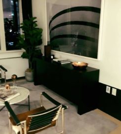 Platinum Properties