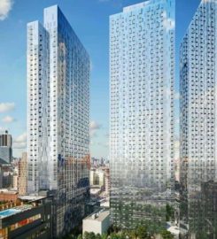REAL New York