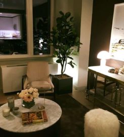 Platinum Properties