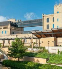 San Antonio Museum of Art
