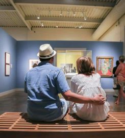 San Antonio Museum of Art