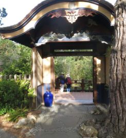 Japanese Tea Gardens