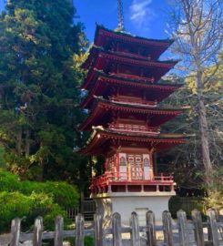 Japanese Tea Gardens