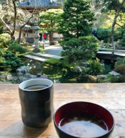 Japanese Tea Gardens