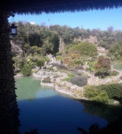 Japanese Tea Gardens