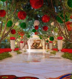Le Reve – The Dream