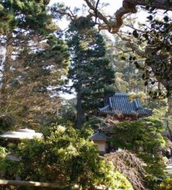 Japanese Tea Gardens