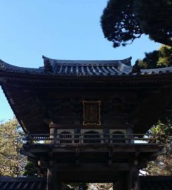 Japanese Tea Gardens