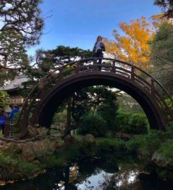 Japanese Tea Gardens