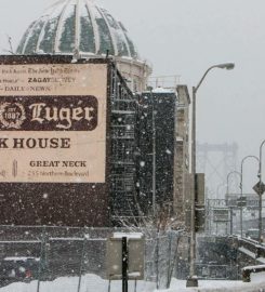 Peter luger steak house