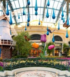 Conservatory & Botanical Garden