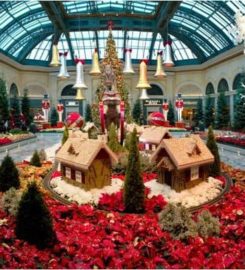 Conservatory & Botanical Garden