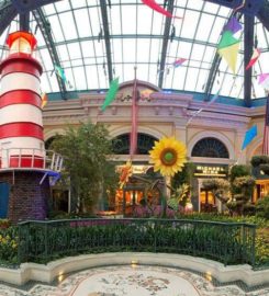 Conservatory & Botanical Garden