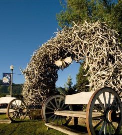The Lodge At Jackson Hole