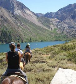 The Lodge At Jackson Hole