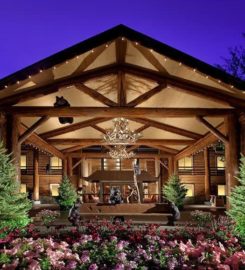 The Lodge At Jackson Hole