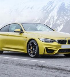 Silver Birch Motor Company