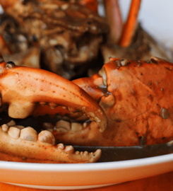 Ministry of Crab