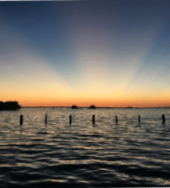 Reel Revenge Fishing Charters