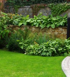 KP Garden Design & Landscapes