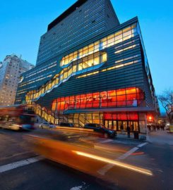 The New School