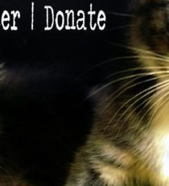 LA Animal Services
