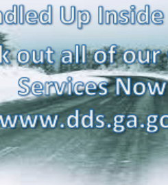Georgia Department of Driver Services