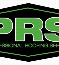 Professional Roofing Services