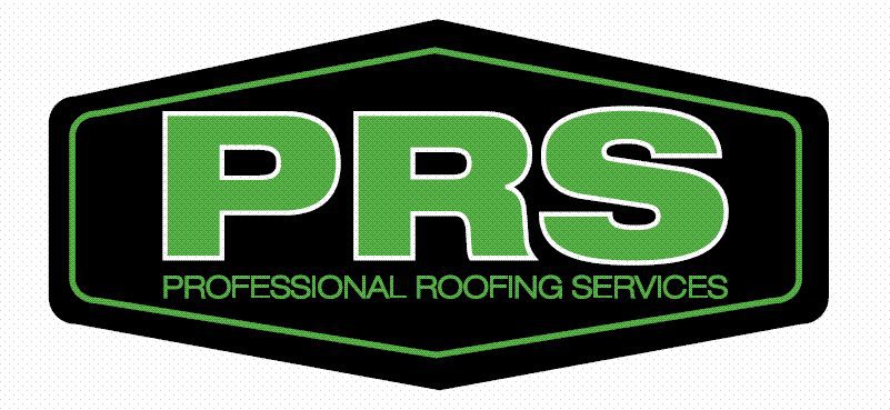 Professional Roofing Services