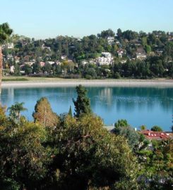 Hollywood Houses For Sale
