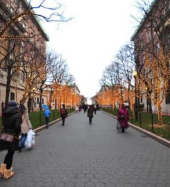 Health Services Columbia University