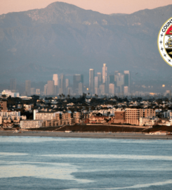 L A County Community Services