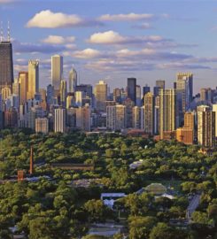John Lyons | Chicago’s Most Trusted Real Estate Agent
