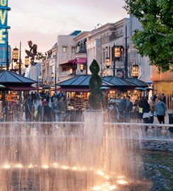 The Grove