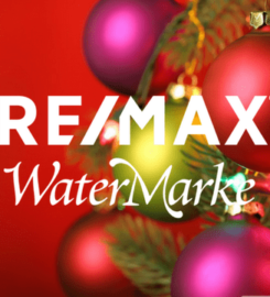 RE/MAX Watermarke
