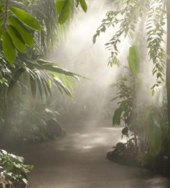 The New York Botanical Garden: Educational Center