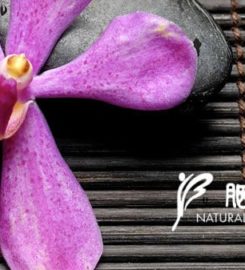 Natural Beauty Spa