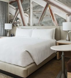 Chicago Marriott Downtown Magnificent Mile