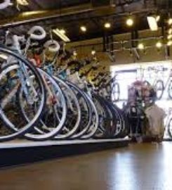 Crazy Cat Cyclery