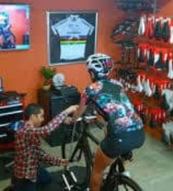 Crazy Cat Cyclery