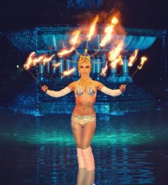 BELLY DANCERS IN NEW YORK