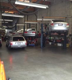 Automotive Specialists